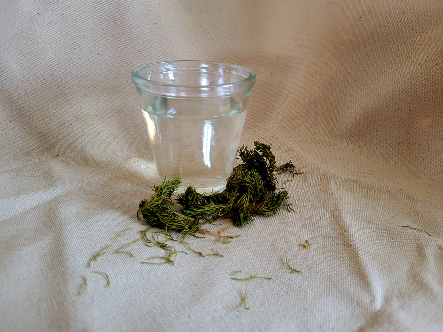 Hydrolat sapin baumier