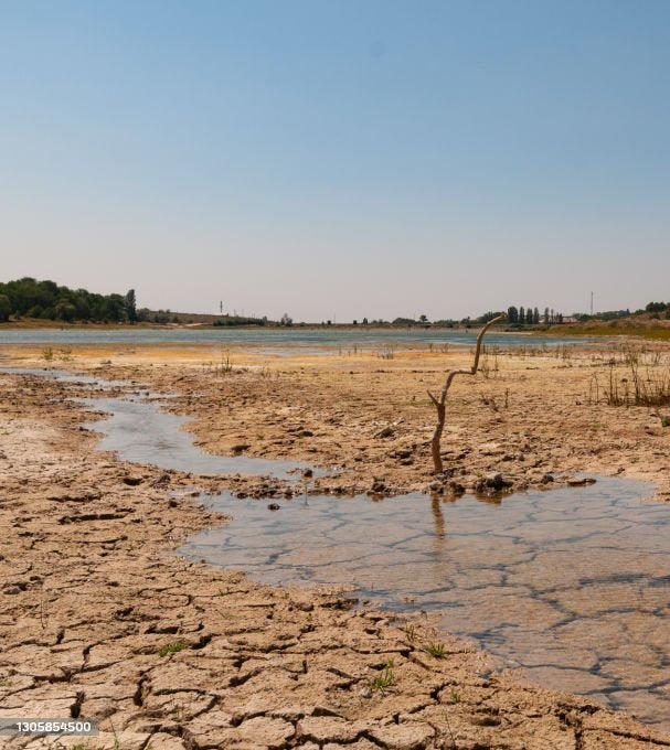 Et si le manque d’eau était bien plus qu'une simple soif ?