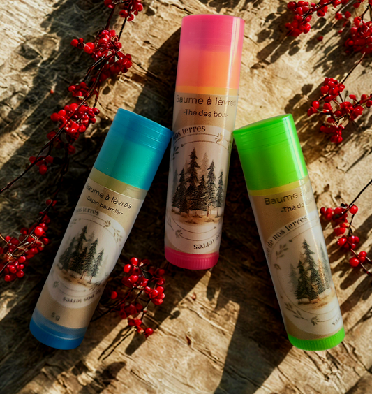 Baume à lèvres végétal
